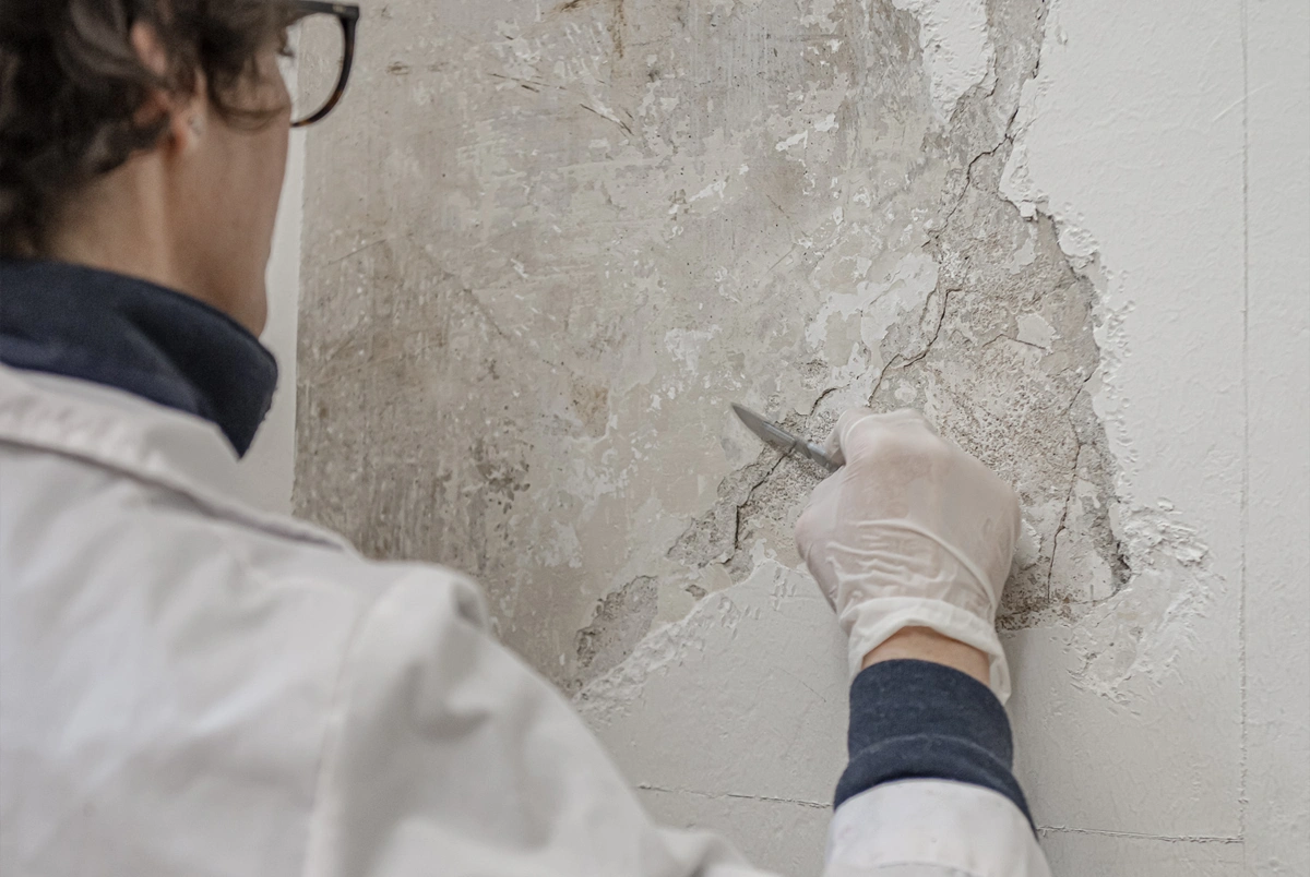 LICEO ARTISTICO P. PETROCCHI - Gallery