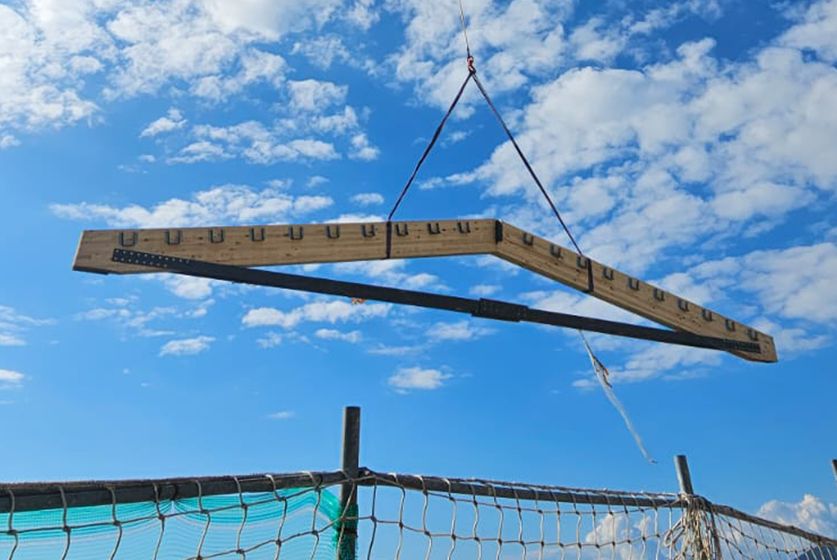 SCUOLA V. GIUDICE - Gallery